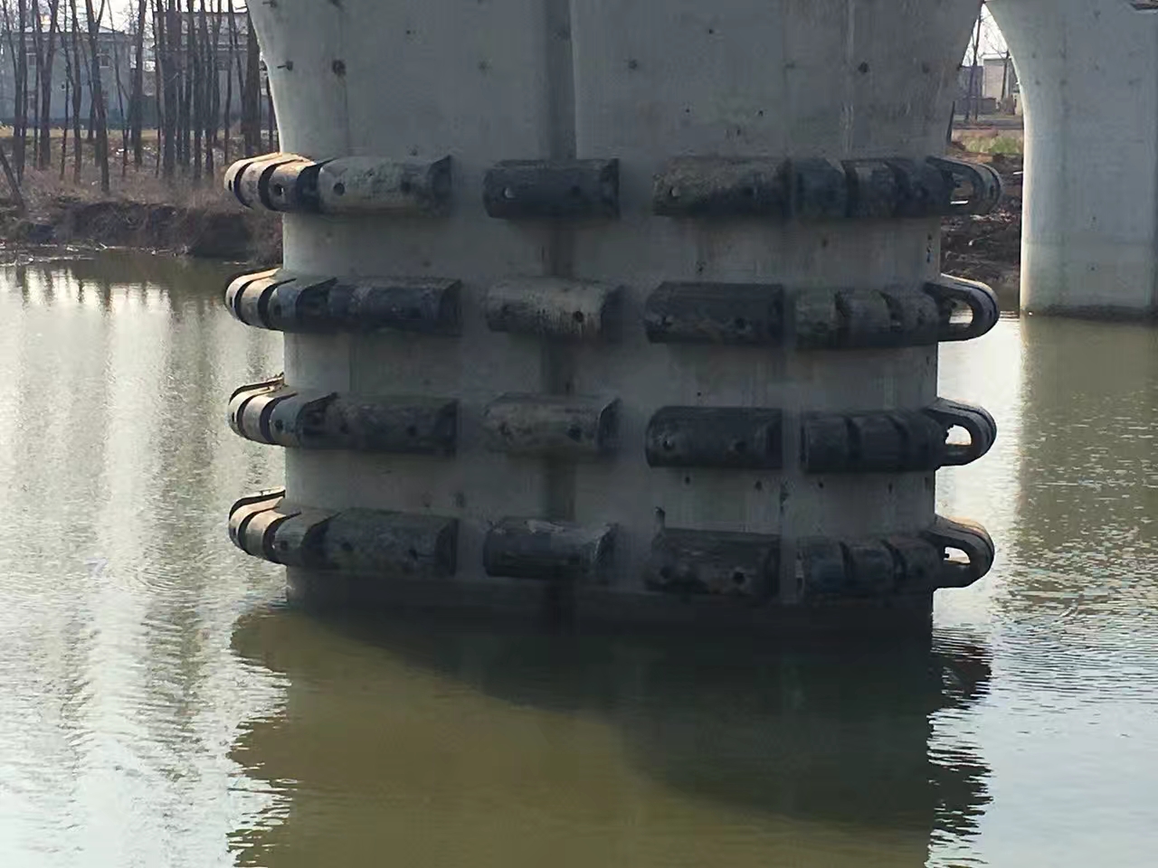 D型橡膠護(hù)舷